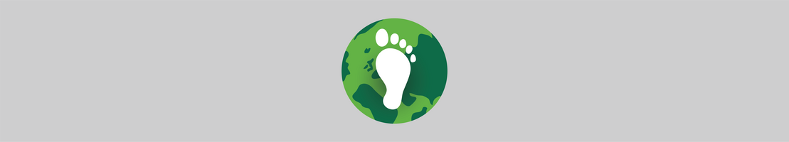 5 simple ways to reduce your business's carbon footprint