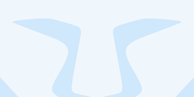 Search Engine Meaning & Definition 