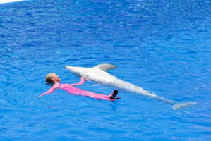 How To Take a Break from Social Media for Summer Vacation