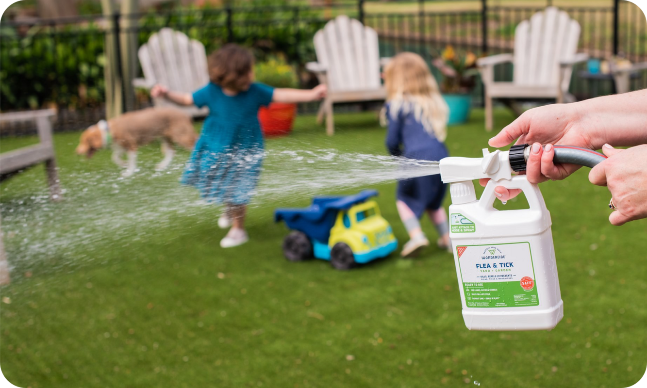 Wondercide's Targeted Direct Mail Campaigns Drive 600% ROI with Lexer