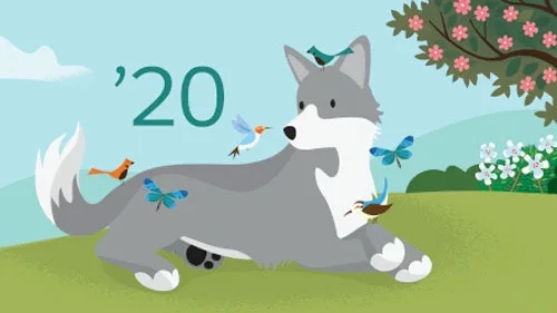 Top 5 Most Treasured Spring '20 Features