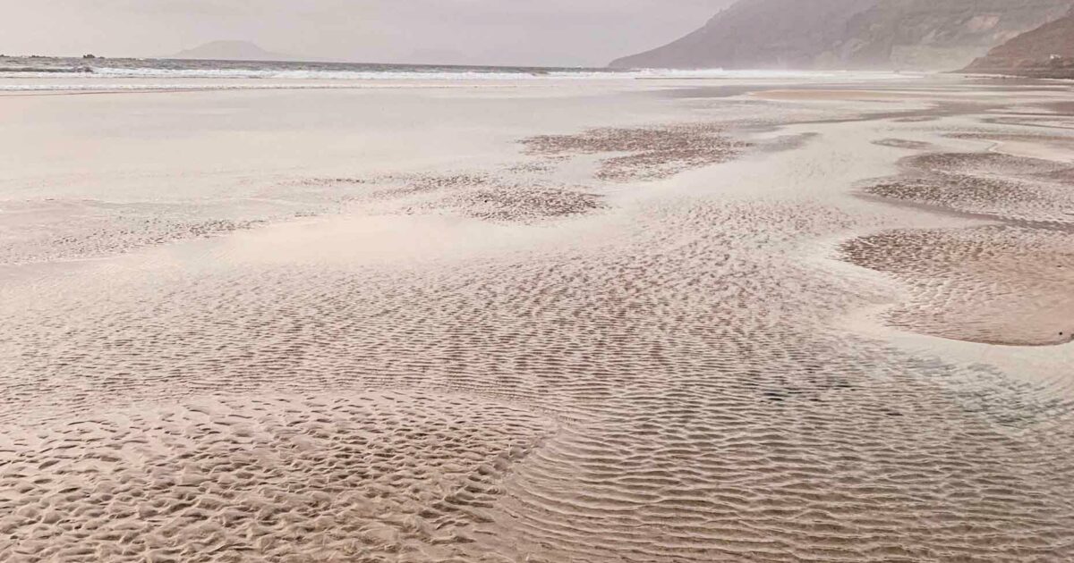 Users can now wake up to a preview of their day's activities, right in their inbox