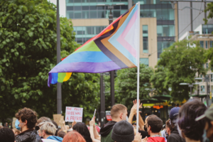 Life in Color: Fun with Flags and LGBTQIA+ Basic Expressions 