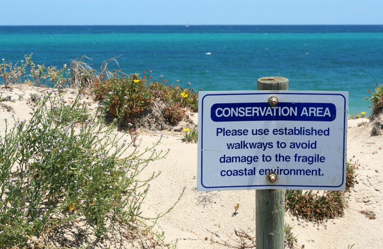 Transform Your Conservation Nonprofit's Fundraising With Text Messaging