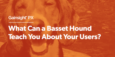 What Can a Basset Hound Teach You About Your Users? | Customer Success and Product Experience Software | Gainsight