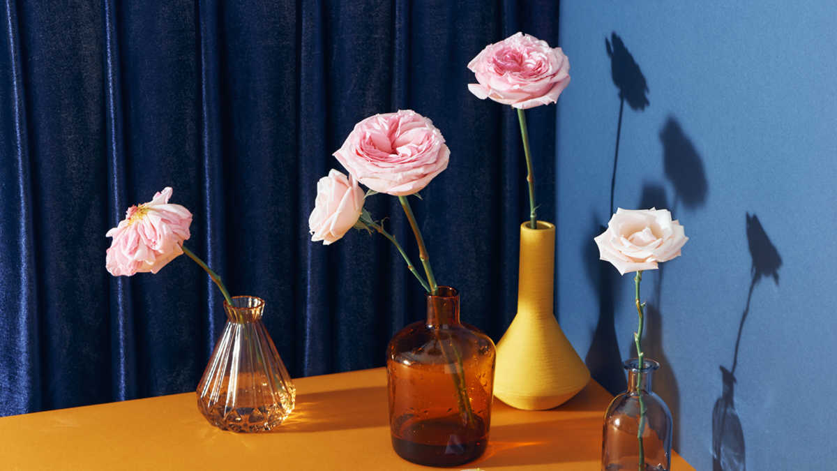 Is this a model for success? Worker co-operatives