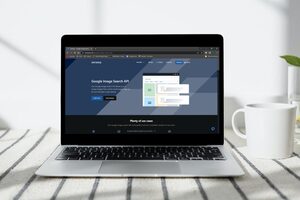 How To Filter Search Results with Google Image Search API?