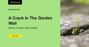 A Crack In The Garden Wall