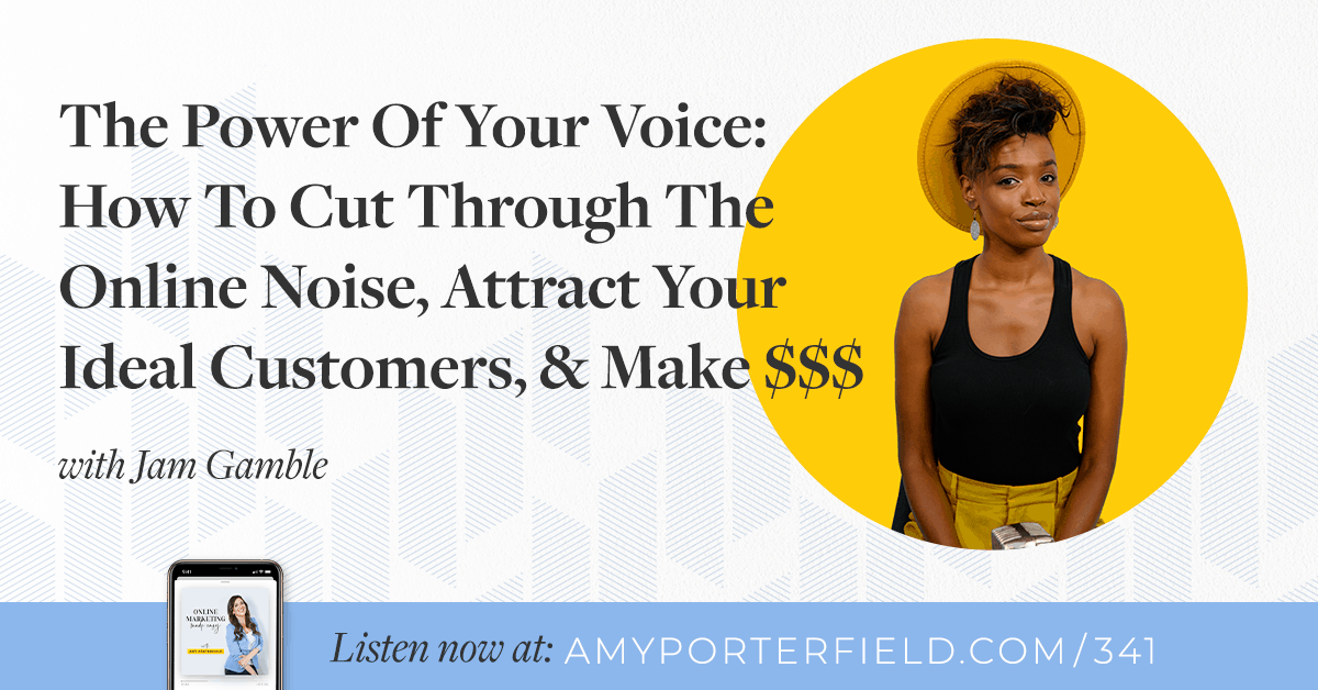 #341: The Power Of Your Voice: How To Cut Through The Online Noise, Attract Your Ideal Customers, & Make $$$ 