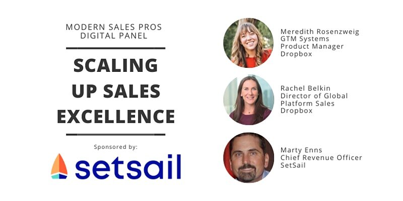 Scaling Up Sales Excellence