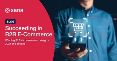 Succeeding in B2B e-commerce: Insights, strategies, and success stories