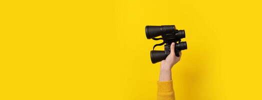 Innovations in Search & Social [January 2022]