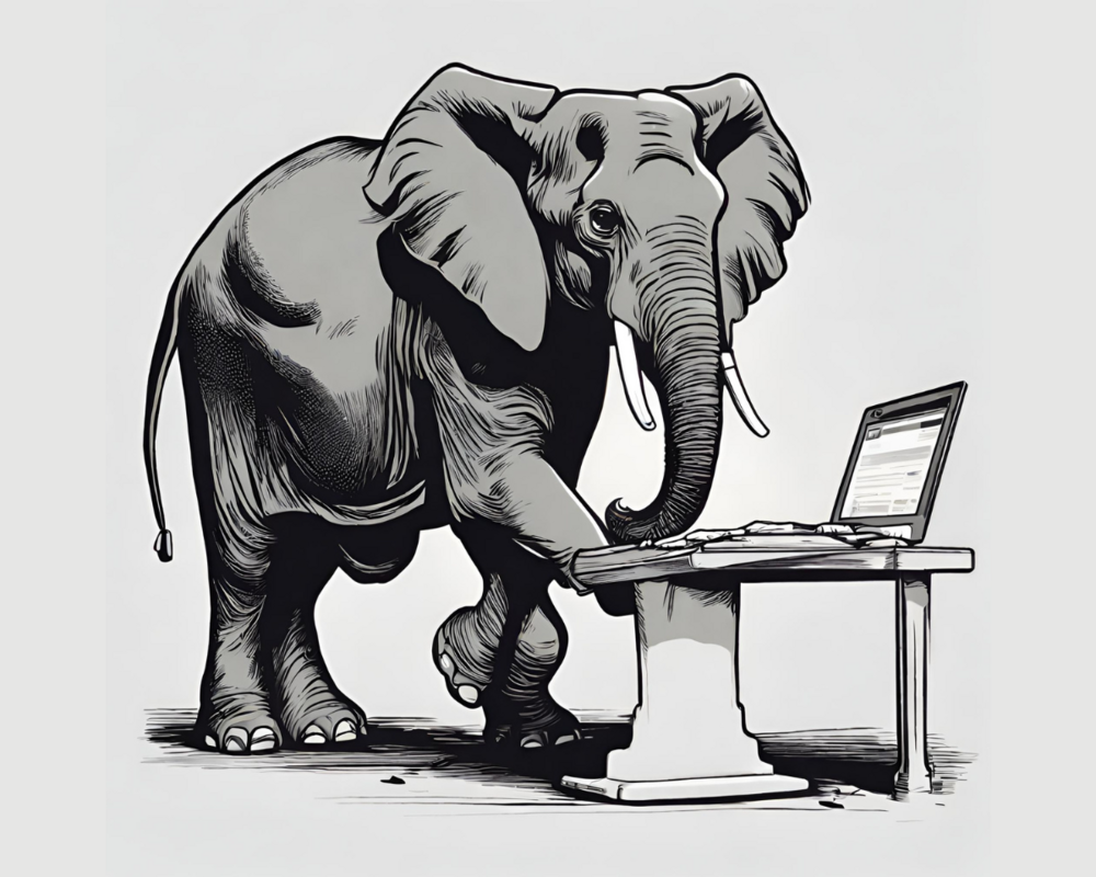 The elephant in the room that most B2B data providers don't want to talk about