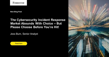 The Cybersecurity Incident Response Market Abounds With Choice - But Please Choose Before You're Hit!
