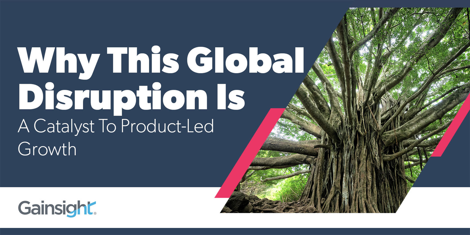 Why This Global Disruption Is A Catalyst To Product-Led Growth | Customer Success and Product Experience Software | Gainsight