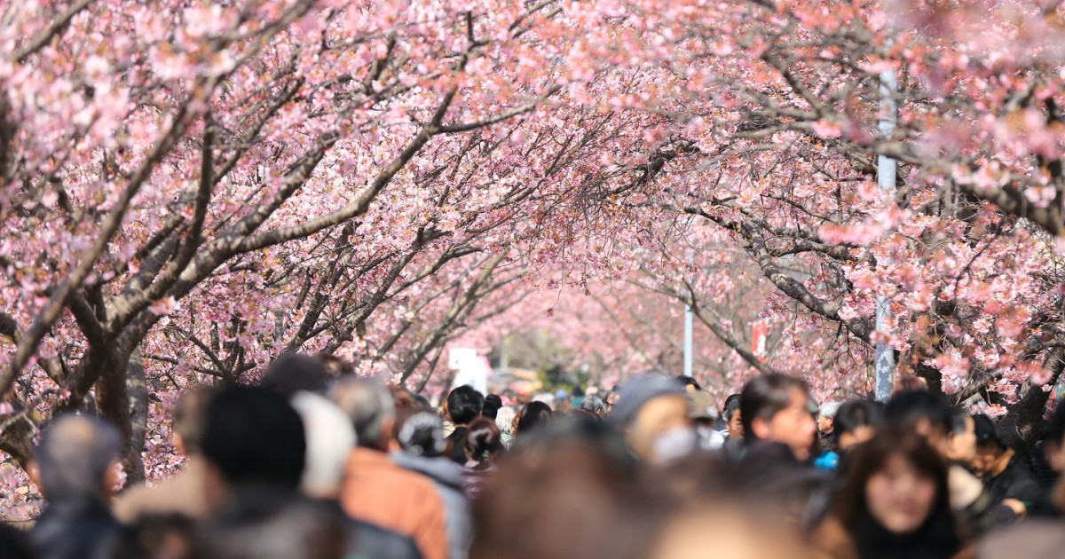 Digital Marketing Agency Increases Client Retention Rate by 20% with Call Analytics