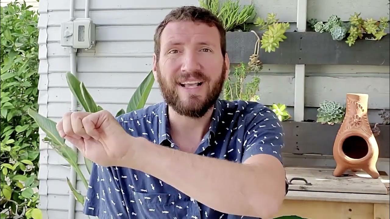 6.1 - Wisdom: Practical Application | Learning Lifecycle Automation