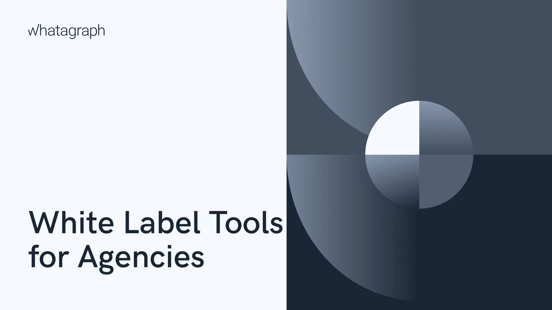 12 Best White Label Marketing Tools for Agencies in 2024
