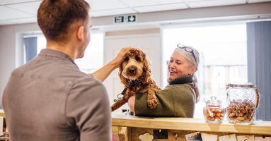 Customer Loyalty Programs for Small Businesses - Best Practices