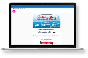 Email Marketing vs. Social Media Ads for Sales & Promotions
