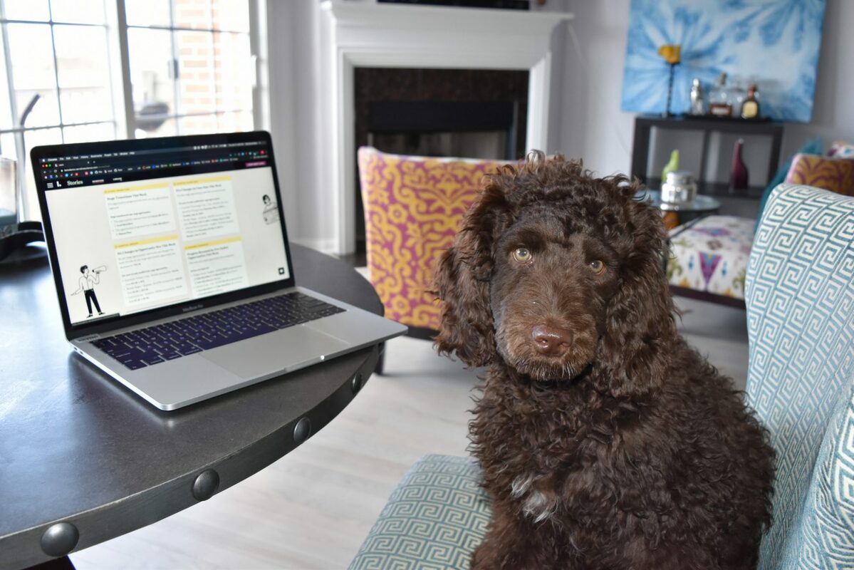 How to use data storytelling