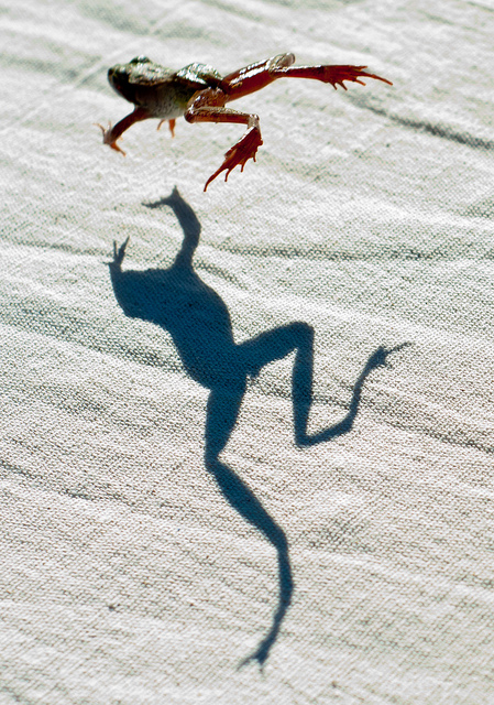 Getting Down and Digital with Newsweek