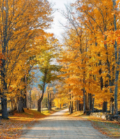 Instagram for Real Estate Agents: Top Accounts to Follow Today