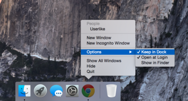 How to Start the Chat Panel Automatically on Startup