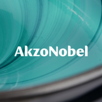 Five in five series | Ramon Delgado at AkzoNobel