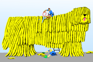 Manual Production Projects That Could Be Solved Through Automation