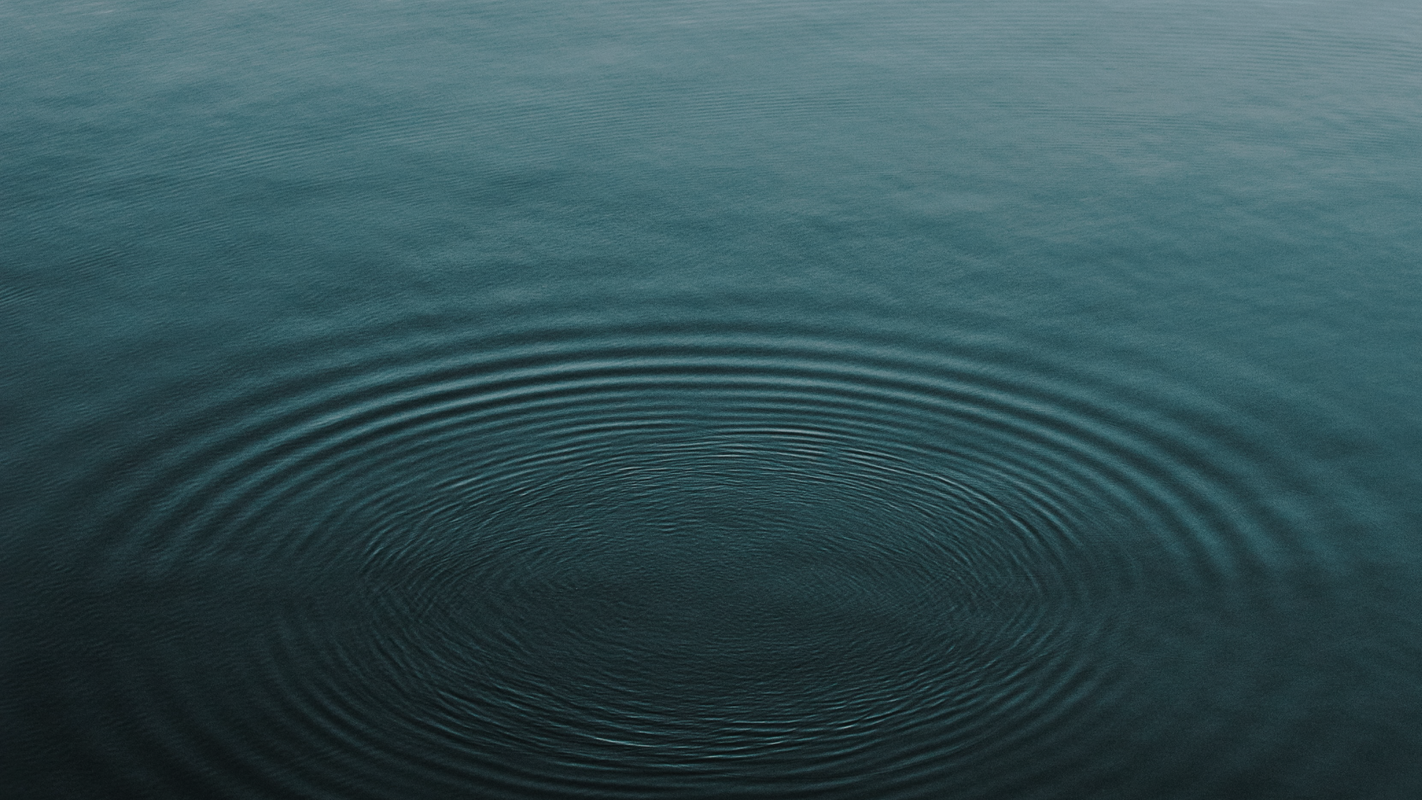 Wellness at Opal: Mental, Physical & Emotional