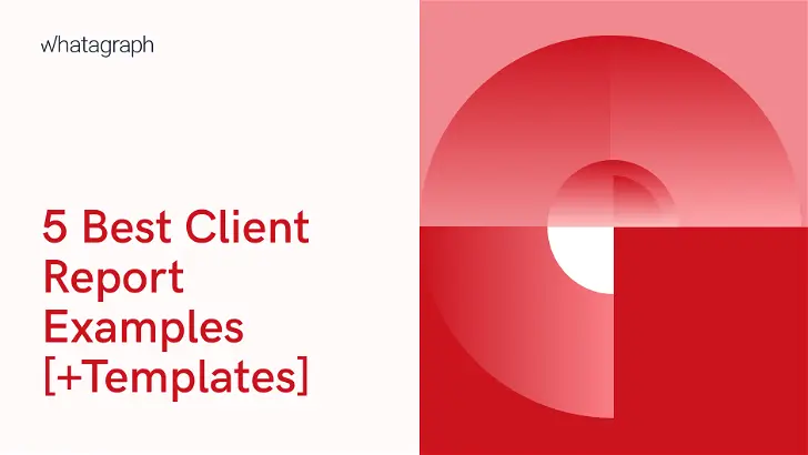 5 Best Client Report Examples [+Templates]