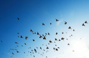 The 6 Exercises We're Doing to Help With Artificial Harmony