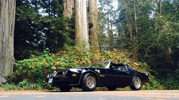 The Evolution to Revenue Operations