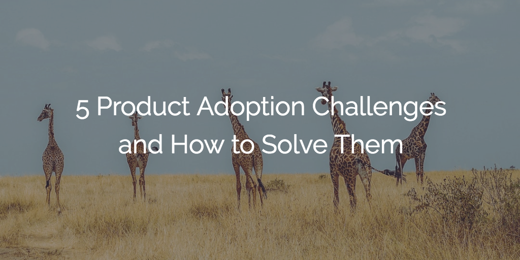 5 Product Adoption Challenges and How to Solve Them | Gainsight