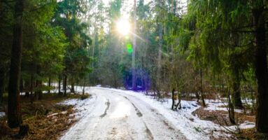 Motivating March Content Ideas for Blog Posts, Videos, & More