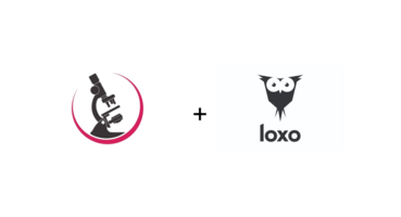 HealthCare Connections Cuts Costs, Improves Communication, and Increases Their Candidate Database with Loxo