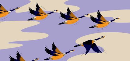 How We Hire Engineers: Culture Contribution