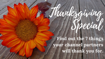 Thanksgiving Special! Find out the 7 things your channel partners will thank you for!