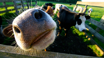 How Google Trends can help you find your next customer