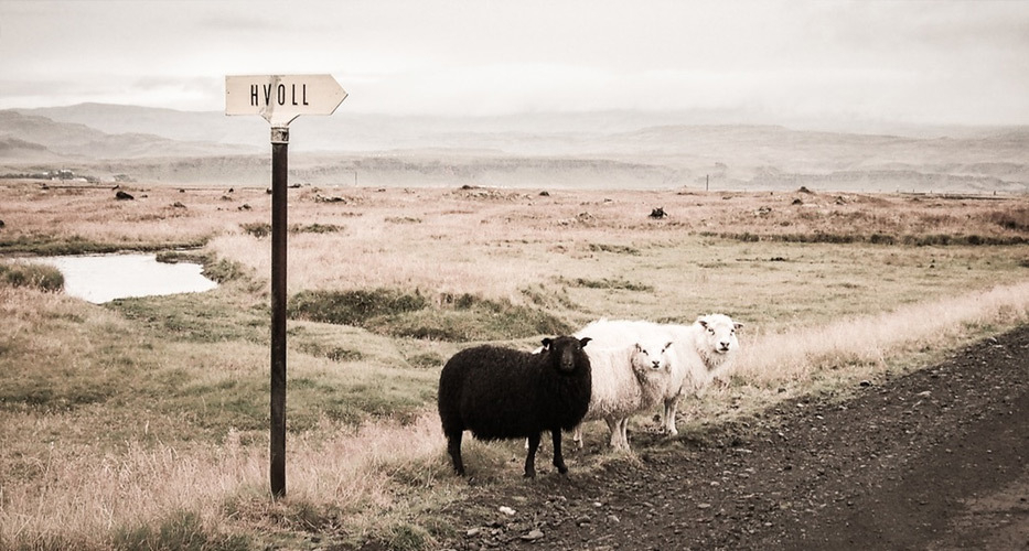 The Guide To Choosing A Marketing Resource Management Solution