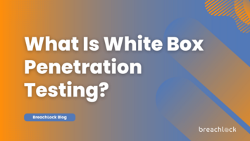 What Is White Box Penetration Testing?