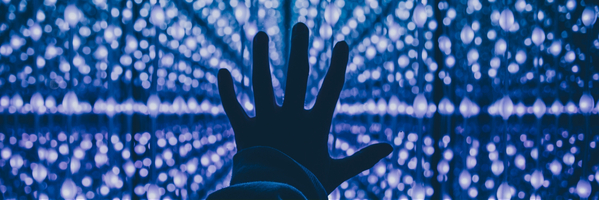 Discover 5 Steps to Become More Comfortable Using Data