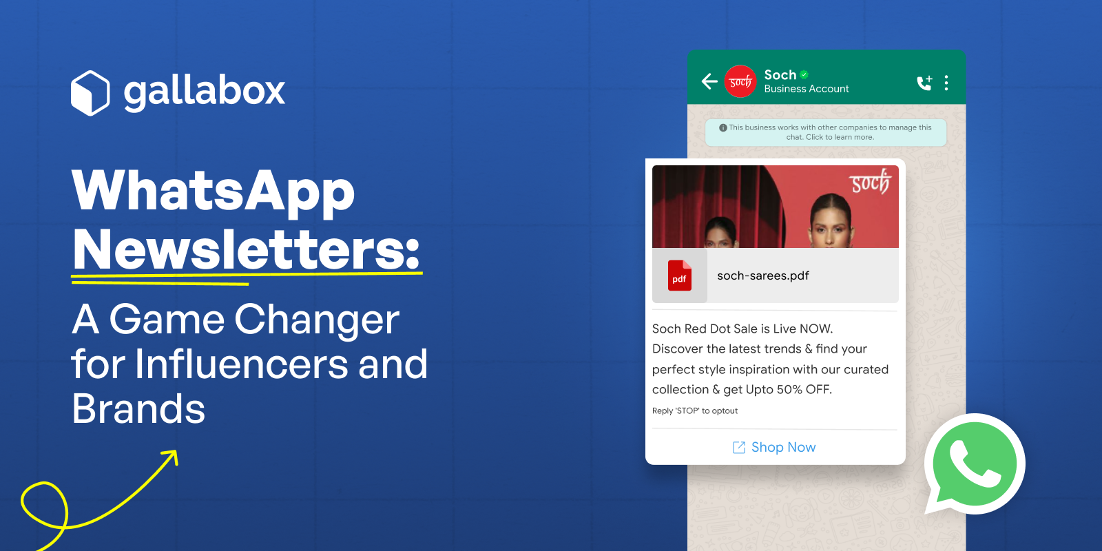 WhatsApp Newsletters: A Game Changer for Influencers and Brands