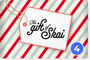 Unwrapping Skai's 'Gifts' for a Very Merry Holiday Season: Part 4, Paid Social Goodies