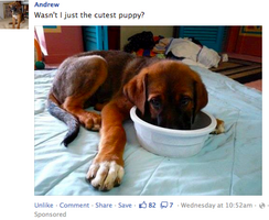 Facebook Promoted Posts: A Case Study