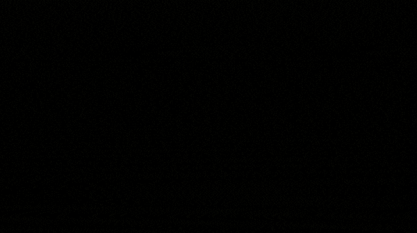 Zoholics in 2020 (February – June): Bigger and better 