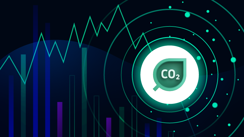 Sustainability: Thoughts from a software engineer