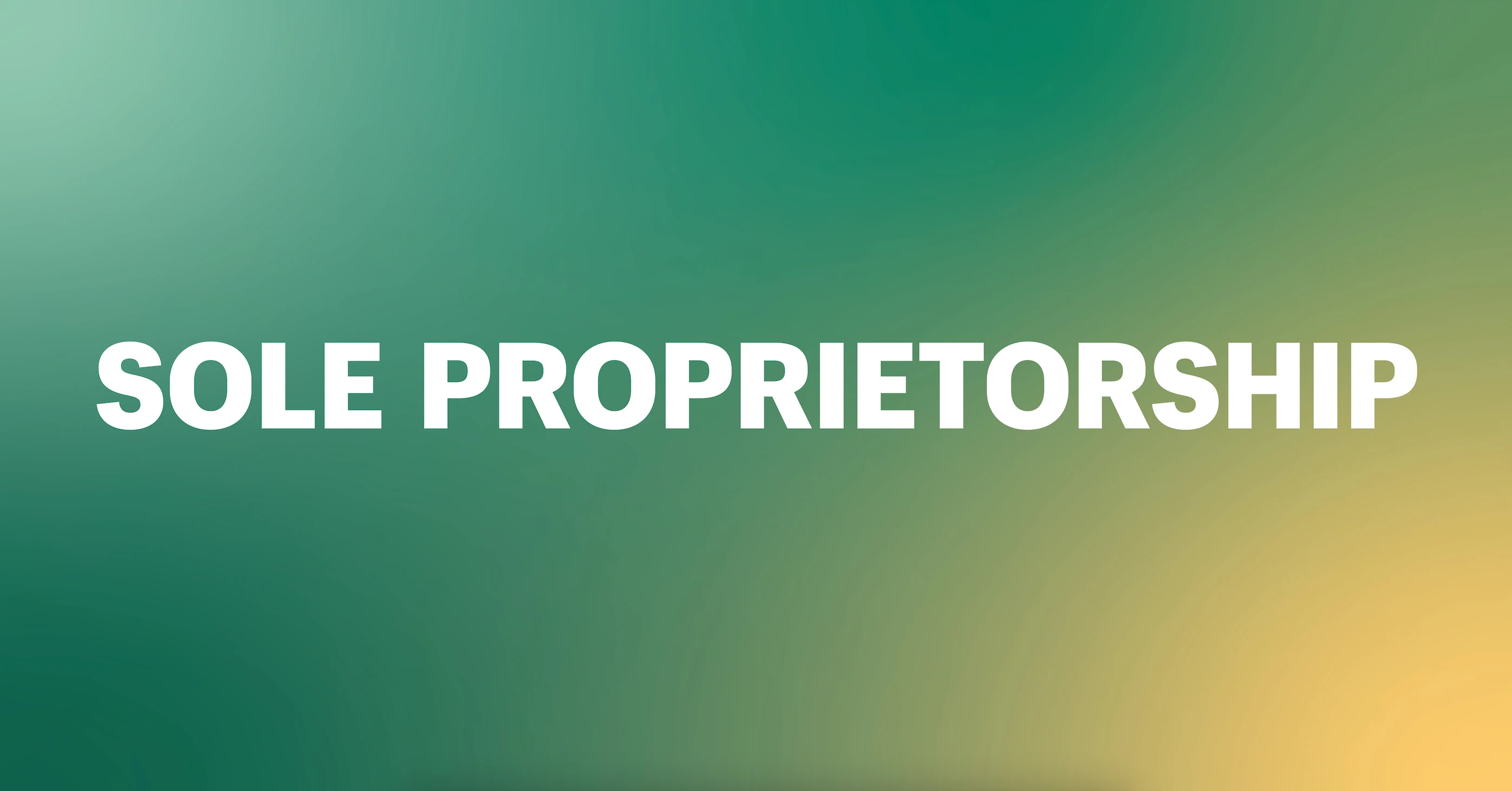 A Guide to the Sole Proprietor Business Structure