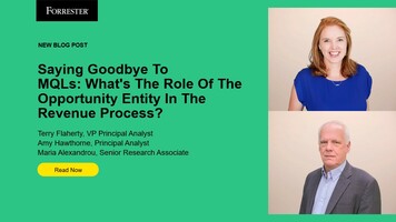Saying Goodbye To MQLs: What's The Role Of The Opportunity Entity In The Revenue Process?
